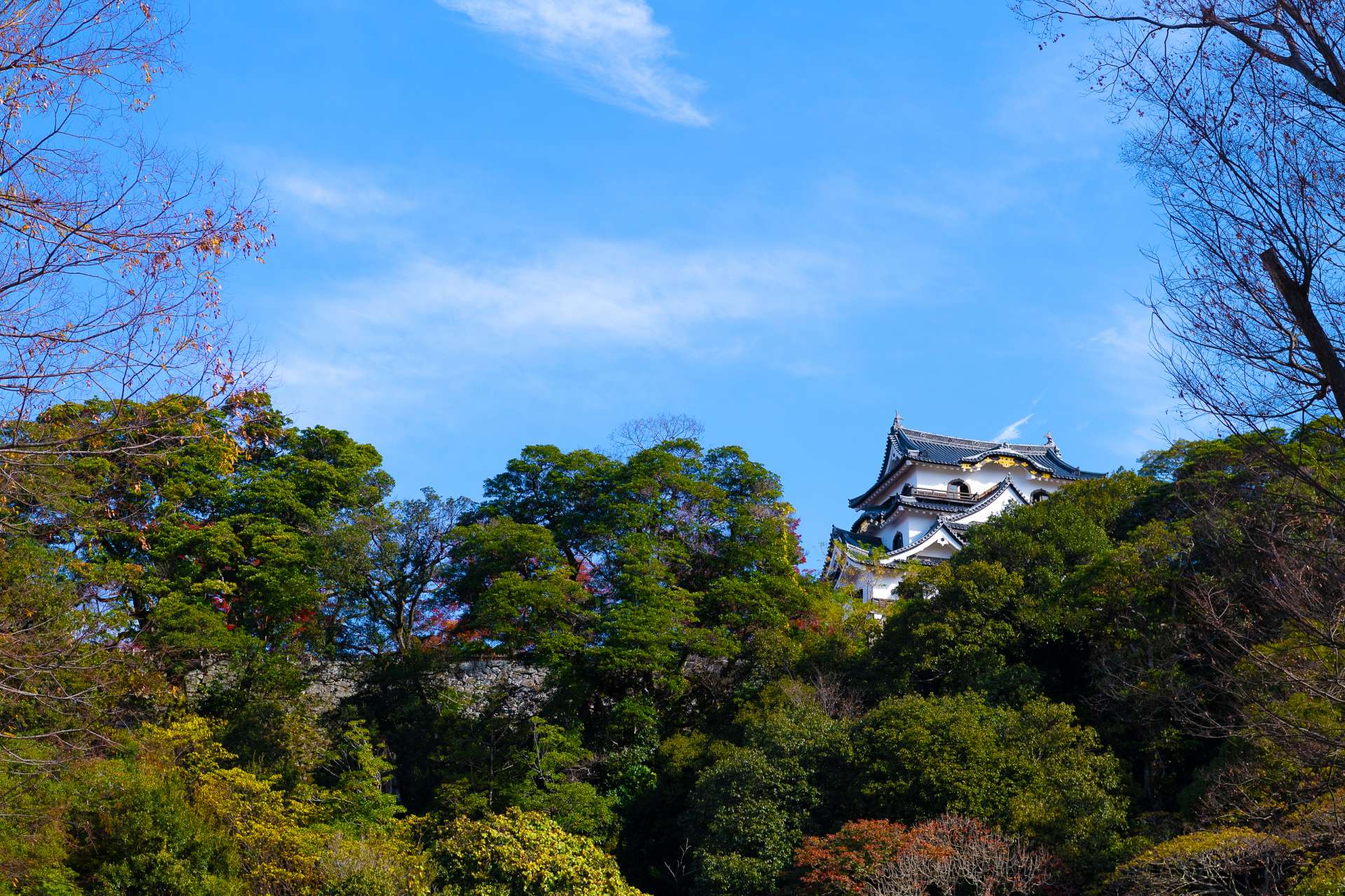 Experience traditional Japanese culture at a historic Buddhist