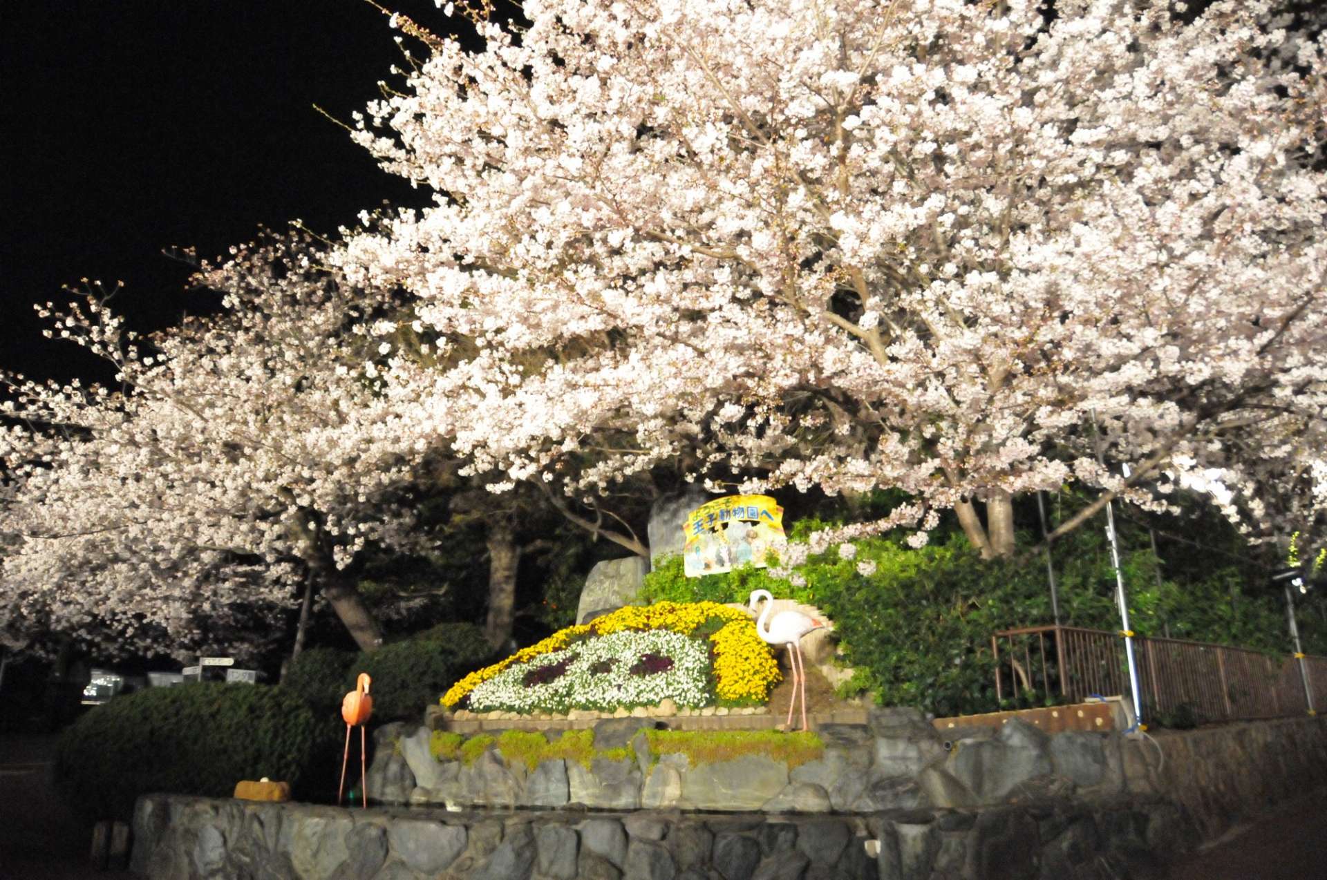 神戶自由行完整指南 神戶該怎麼玩 嚴選景點 美食 飯店 祭典活動 伴手禮資訊都在這裡了 好運日本行