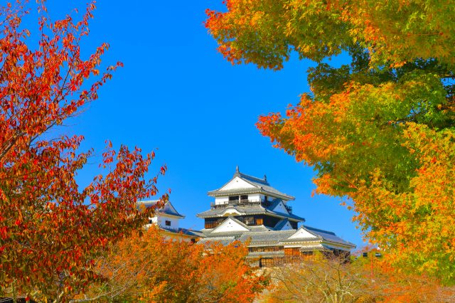 Aoshima Island Walk, Ehime, Japan - Map, Guide