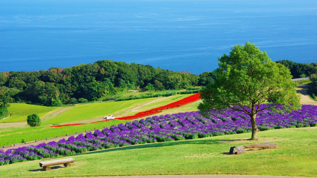 Awaji Island. Awaji Island, which is famous for onion cultivation. Avaji Japanese Fellowship.