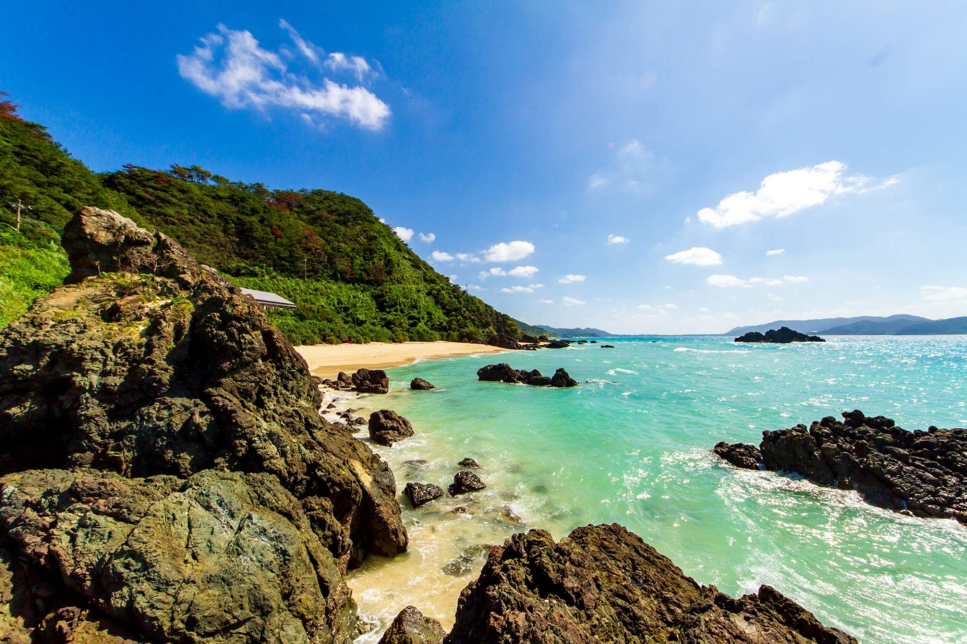 世界遺產 屋久島 奄美大島 德之島 旅遊指南 好運日本行