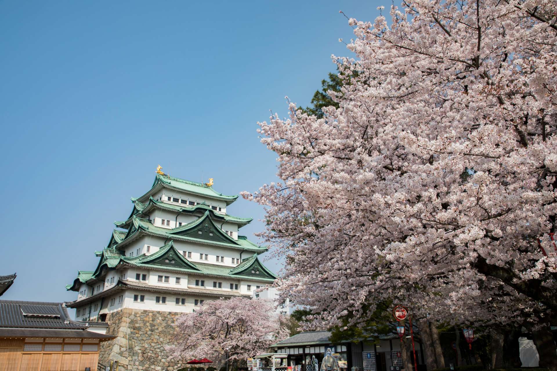 名古屋自由行必看】景点&美食&购物&住宿&伴手礼资讯，仅此一篇就全搞定