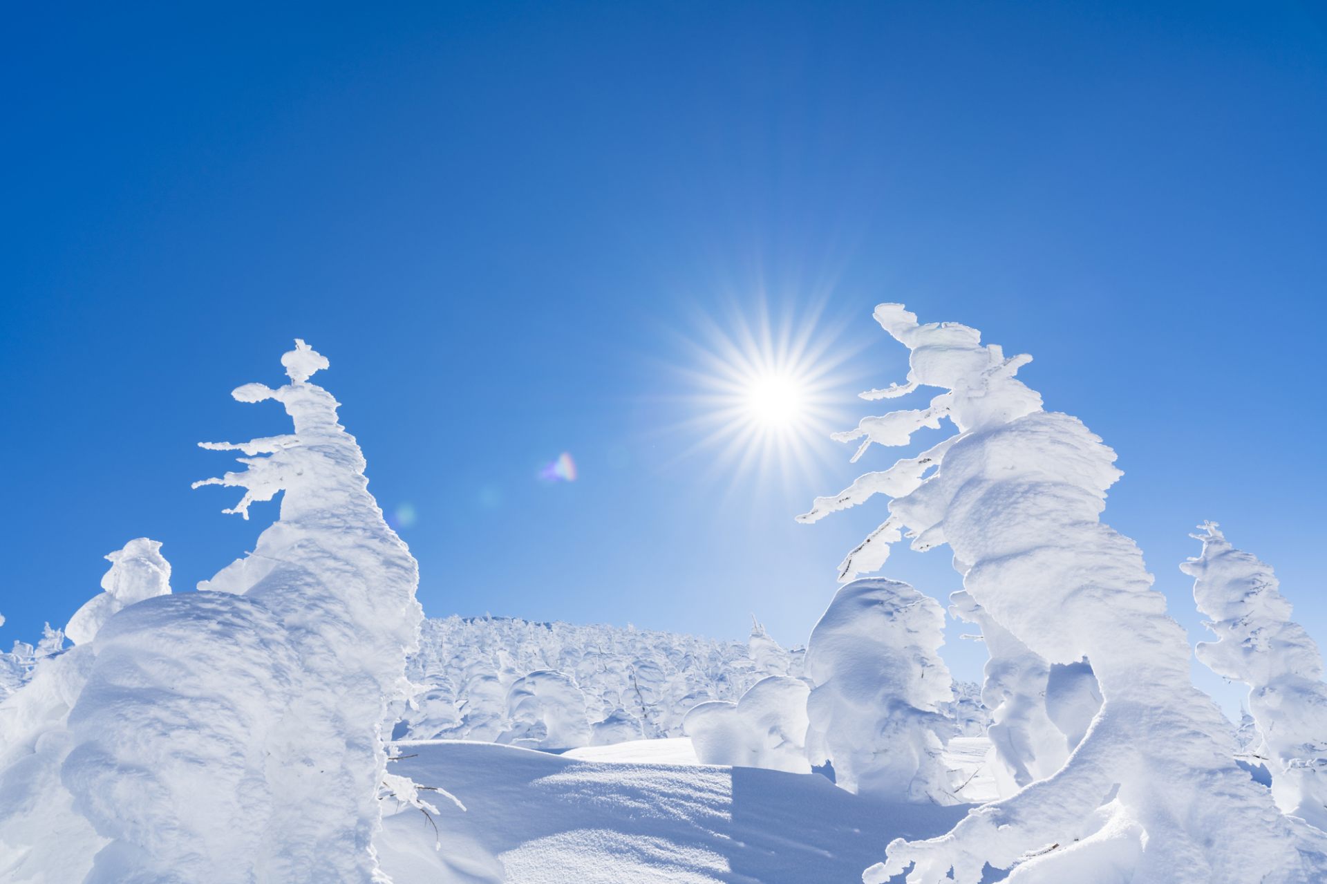 山形が誇る冬の絶景 蔵王樹氷を最大限に楽しむ観光ガイド Good Luck Trip