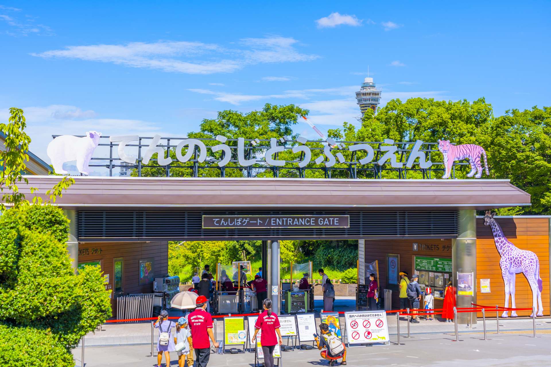 大阪の中心で動物に癒される！天王寺動物園の観光ガイド | GOOD LUCK TRIP