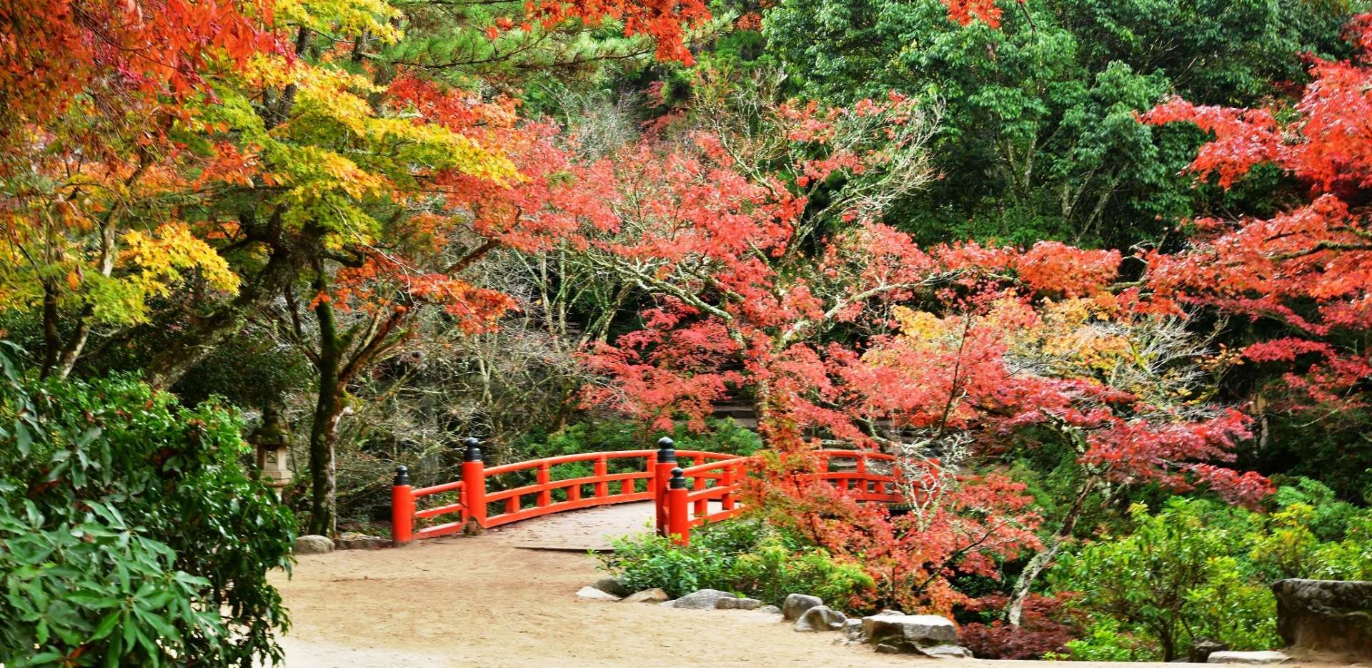 嚴島神社完整指南】必看重點&周邊景點一篇掌握 | 好運日本行