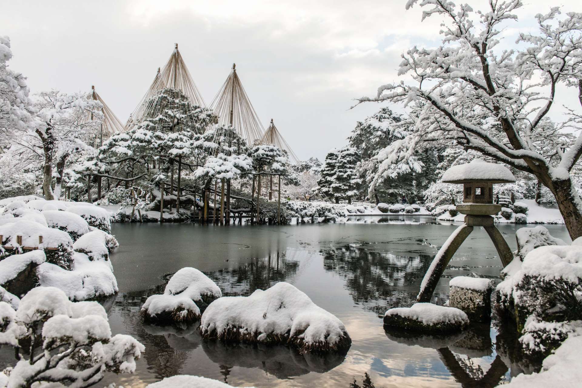 How does your COLOR of Nikko hellgrammite stack up in winter