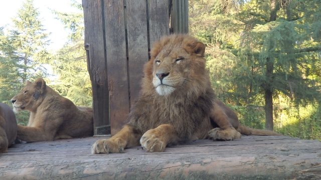 群馬 動物園 水族館 植物園 好運日本行