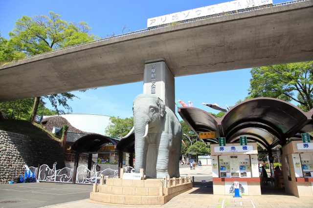 多摩動物公園 景點指南 交通 周邊景點資訊 好運日本行