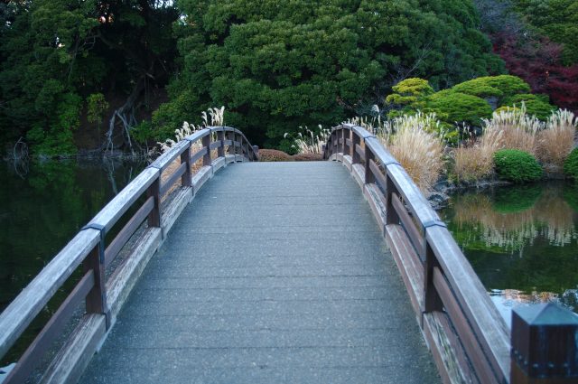 景点 东京 庭园 公园 人气顺 第2页 好运日本行