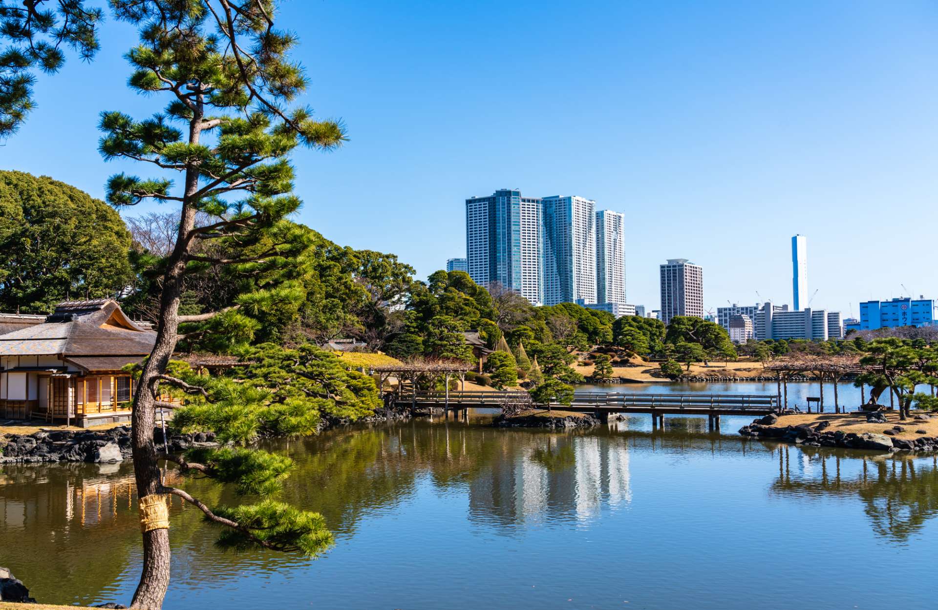 Hama Rikyu Gardens Good Luck Trip Japan