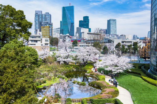 六本木 庭园 公园 人气顺 好运日本行