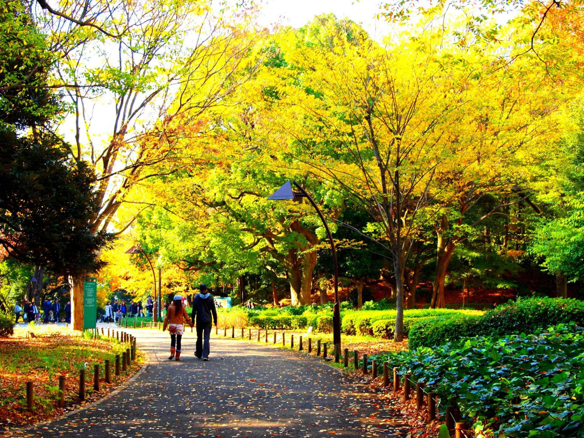 上野公园内摄影图高清摄影大图-千库网