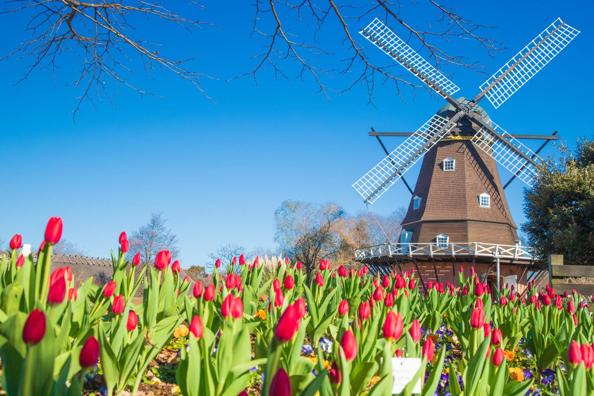 ふなばしアンデルセン公園 見どころ 交通 周辺情報 Good Luck Trip