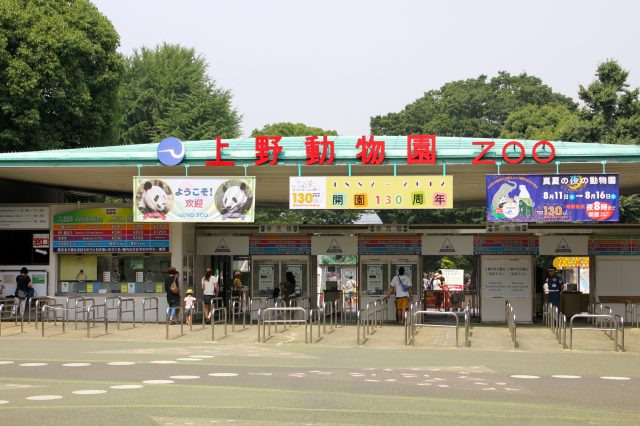 上野 浅草 动物园 水族馆 植物园 人气顺 好运日本行