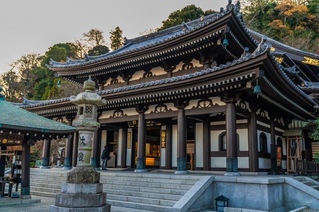 長谷寺 鎌倉 景點指南 交通 周邊景點資訊 好運日本行