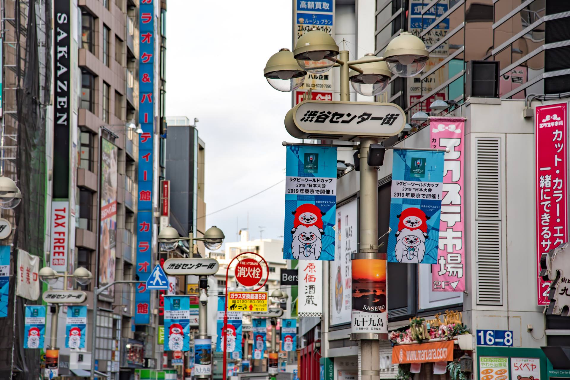 涩谷中心街 景点指南 交通 周边景点资讯 好运日本行