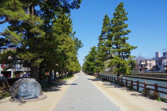 国指定名勝 おくのほそ道の風景地 草加松原 見どころ 交通 周辺情報 Good Luck Trip