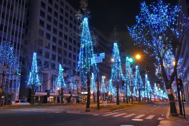 Osaka Festival Of Lights Midosuji Illumination Must See Access Hours Price Good Luck Trip
