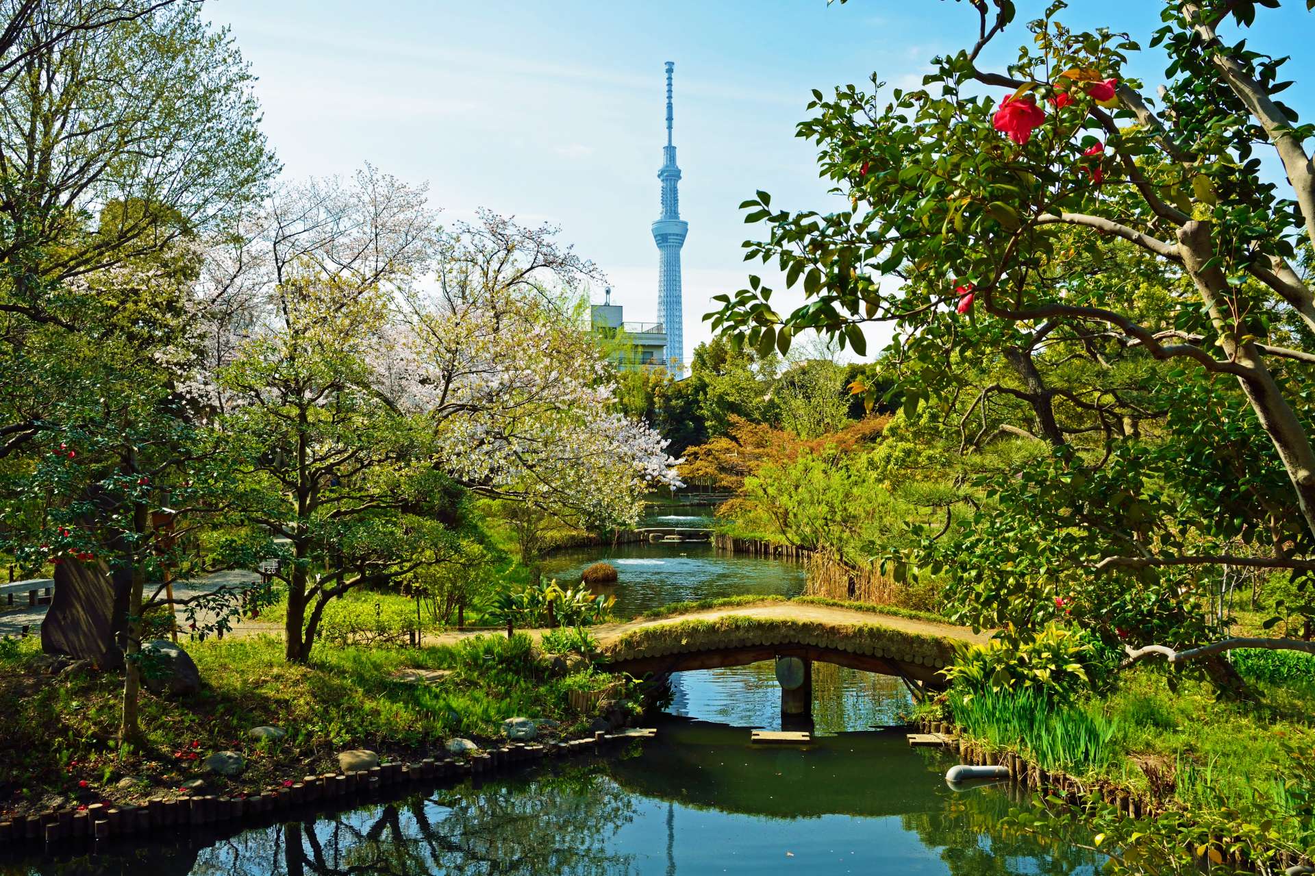 向島百花園 見どころ 交通 周辺情報 Good Luck Trip グッドラックトリップ