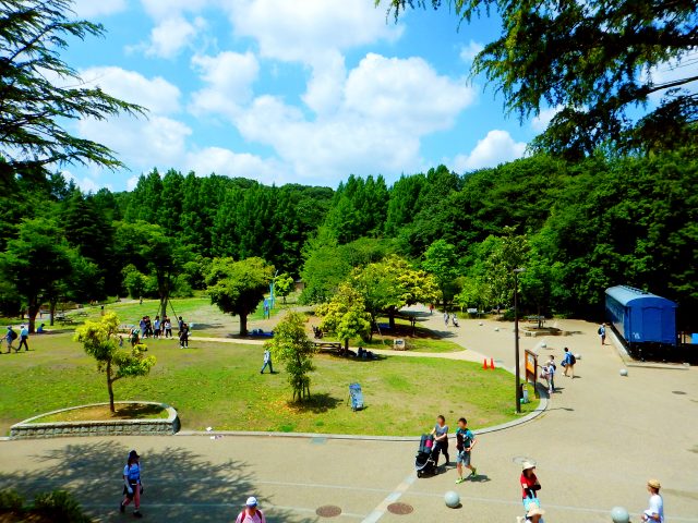 Ikuta Ryokuchi Park Must See Access Hours Price GOOD LUCK TRIP