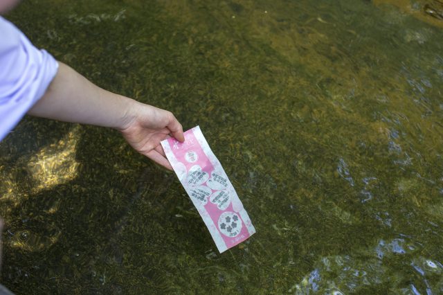 生田神社 見どころ 交通 周辺情報 Good Luck Trip