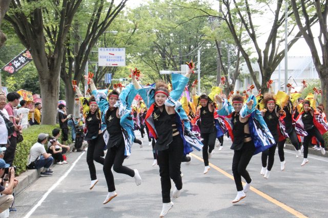 朝霞市民祭 彩夏祭】看点指南、举办时期、交通资讯  好运日本行