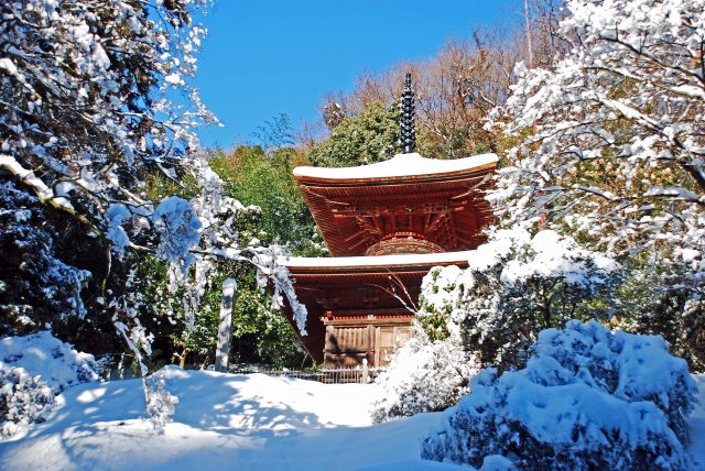 景点 埼玉 神社寺院 人气顺 好运日本行