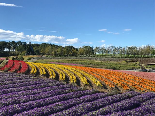 景点 岐阜县 好运日本行