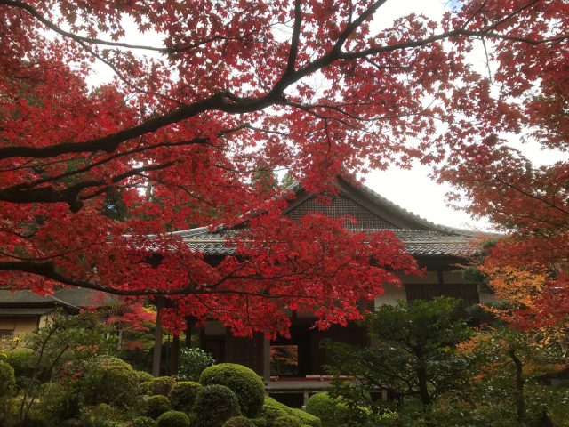 天台宗 金剛輪寺 景點指南 周邊景點 星評 交通資訊 好運日本行