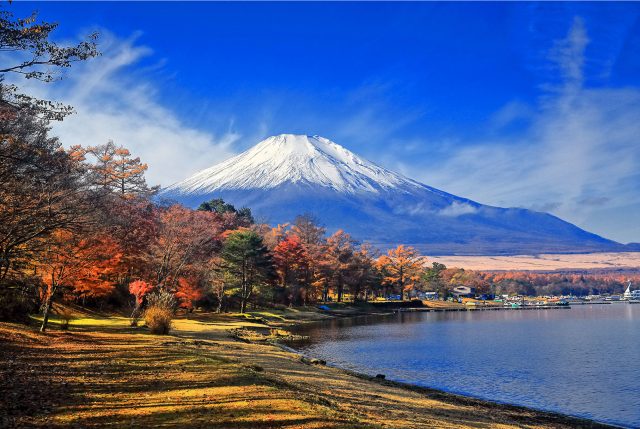 山梨新十景句集 - その他