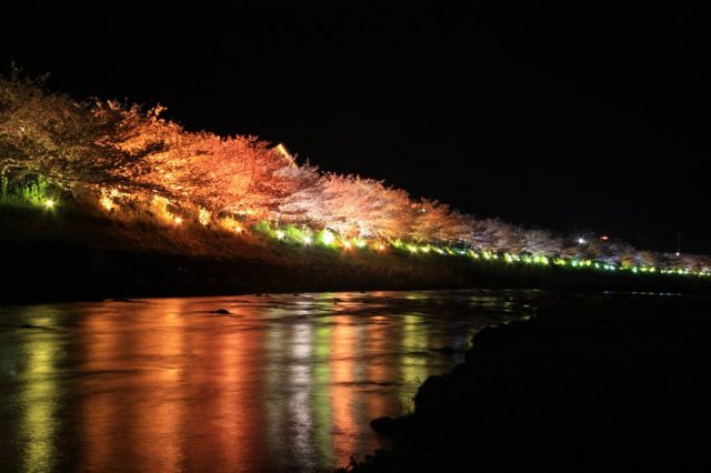 shizuoka tourist spot winter