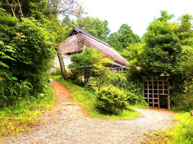 Ninja Trick House in Tokyo