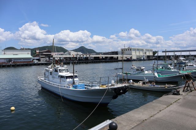 沼津港美食街 景点指南 交通 周边景点资讯 好运日本行