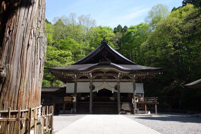 戸隠神社 - 見どころ、交通 u0026 周辺情報  GOOD LUCK TRIP