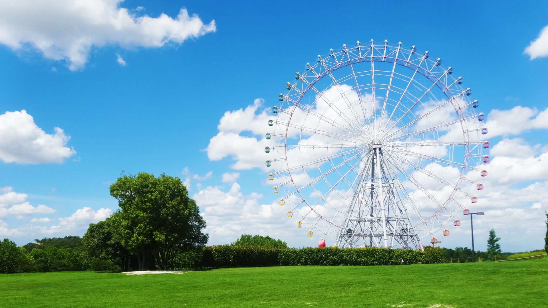 Diamond and Flower Ferris Wheel - Must-See, Access, Hours & Price