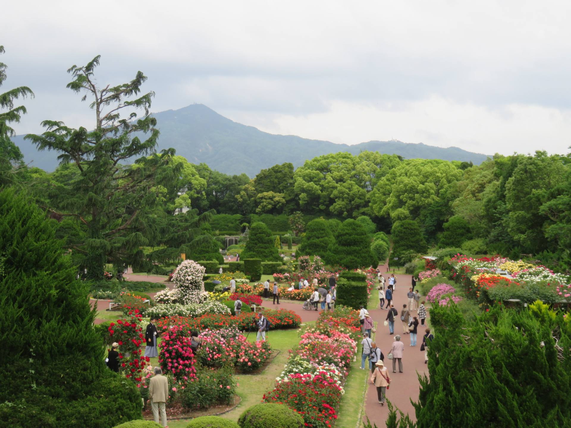 京都府立植物園 景點指南 交通 周邊景點資訊 好運日本行