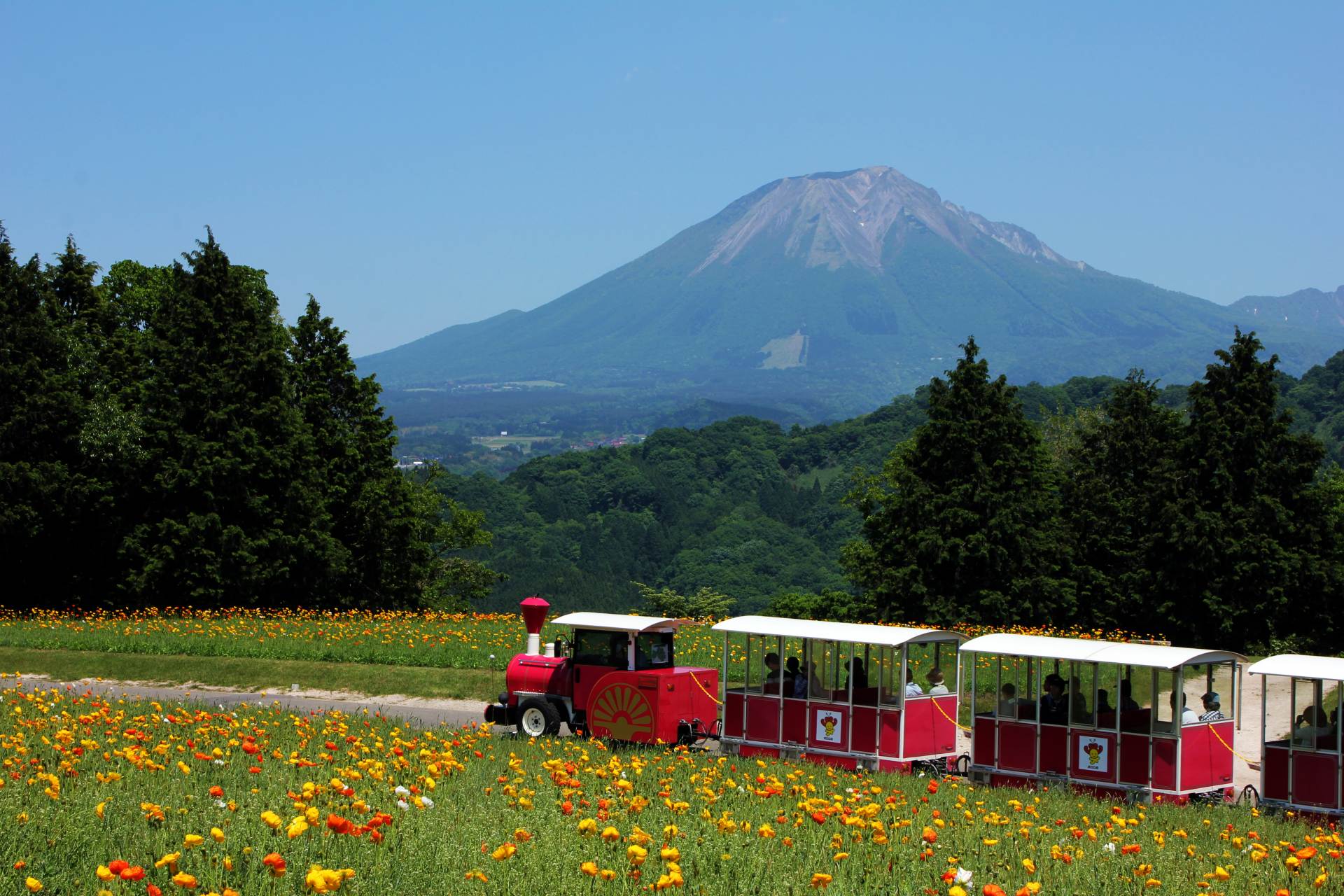 とっとり花回廊 見どころ 交通 周辺情報 Good Luck Trip