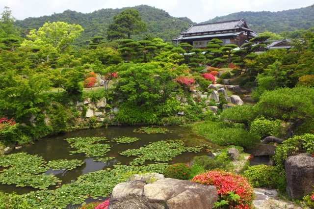 毛利氏庭園 毛利博物館 景點指南 常見問題 星評 周邊景點 交通資訊 好運日本行