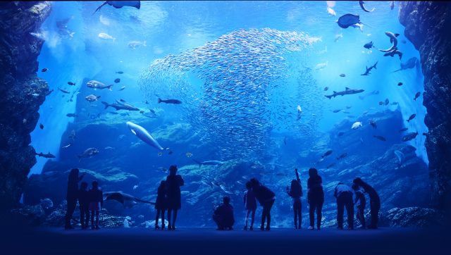 Sendai Umino-Mori Aquarium - Must-See, Access, Hours & Price