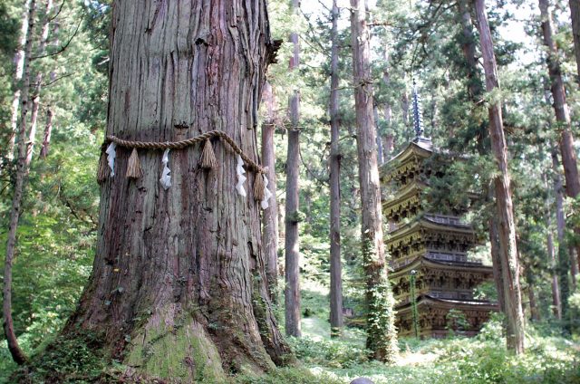 Mt. Haguro - Must-See, Access, Hours & Price | GOOD LUCK TRIP