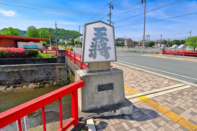 Tendo City's Ningen Shogi (Human Chess) and Sakura Festival - GaijinPot  Travel