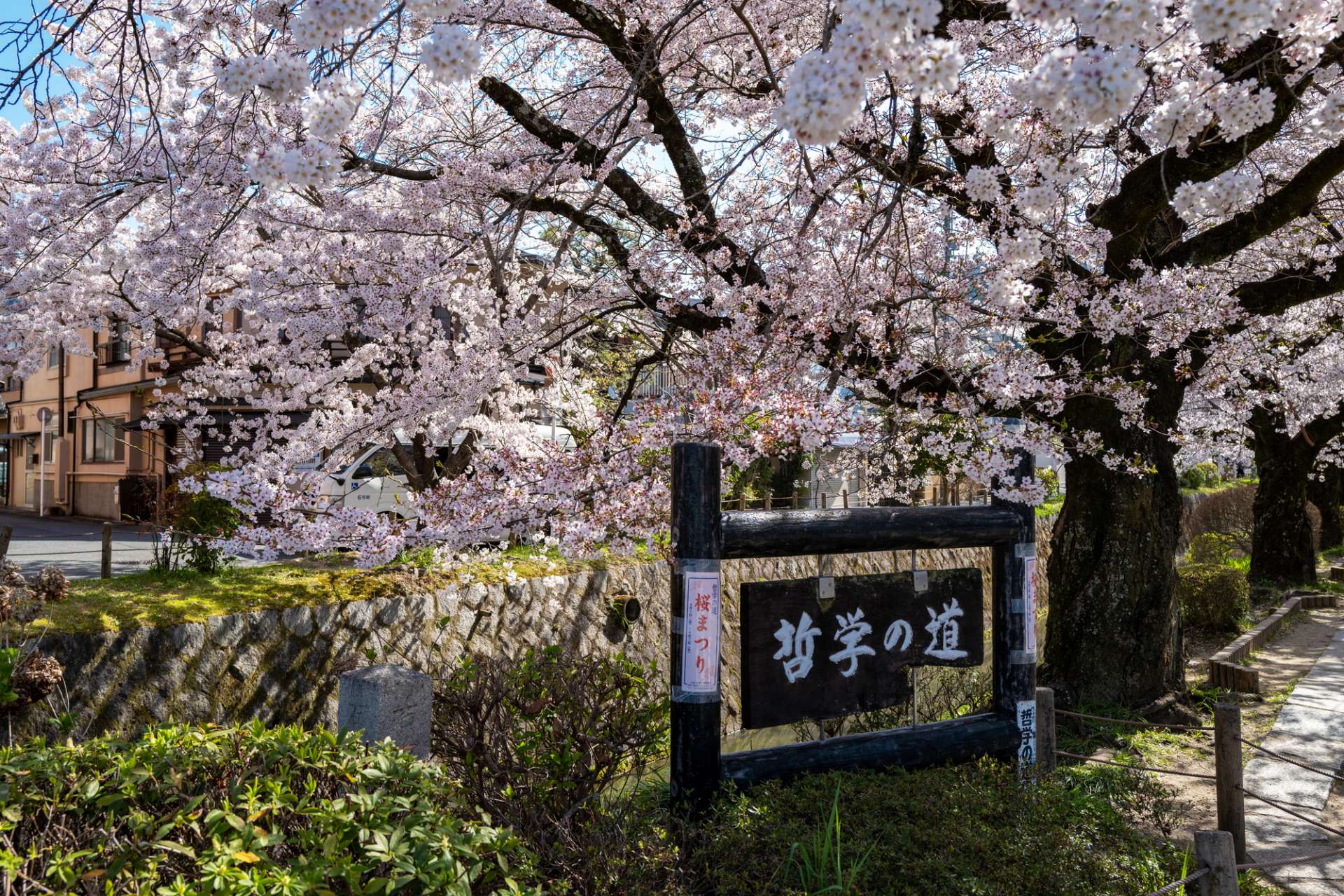Philosopher's Walk - Accessible Japan