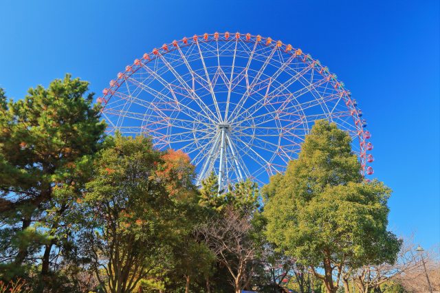 ダイヤと花の大観覧車 見どころ 交通 周辺情報 Good Luck Trip