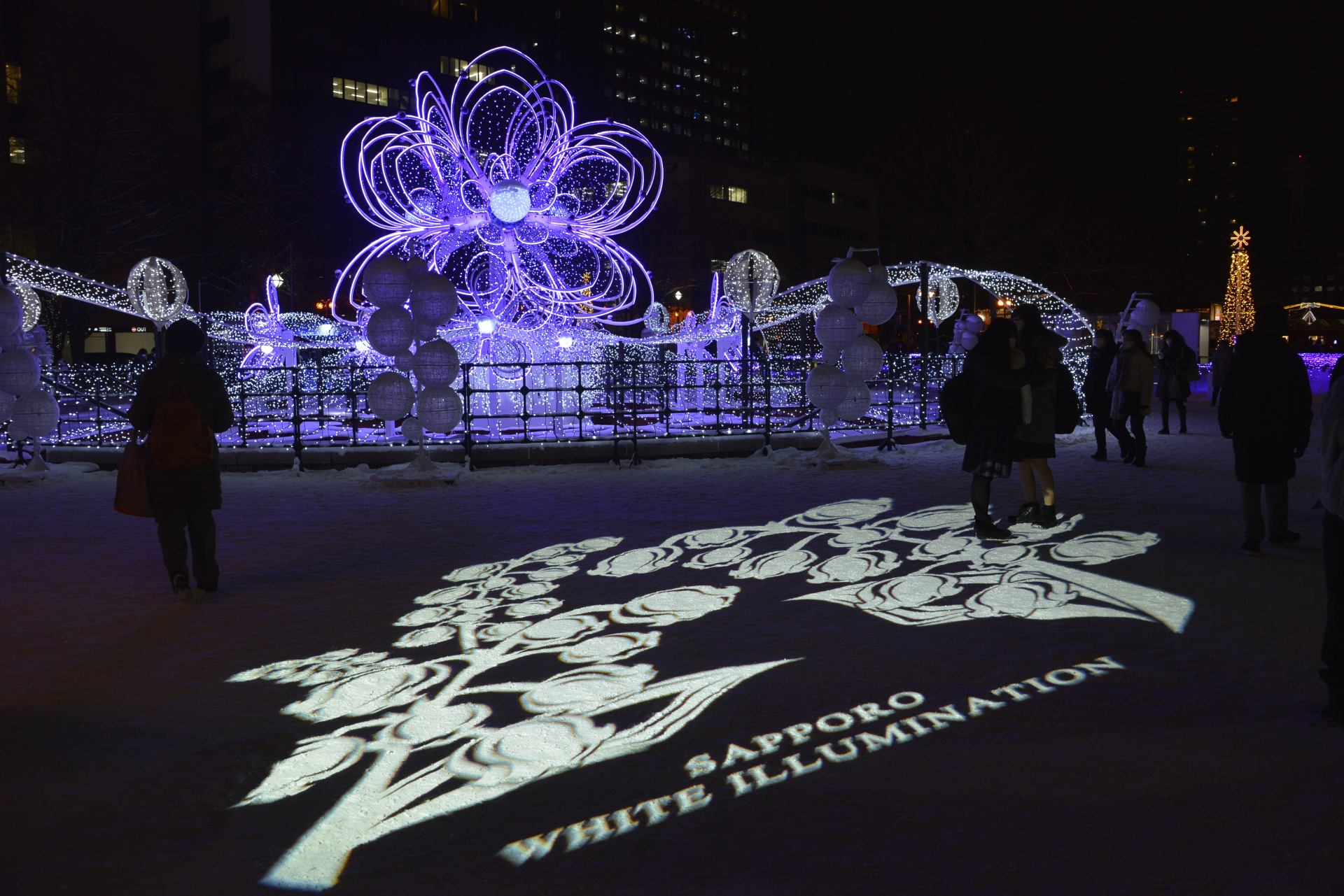 Sapporo White Illumination - Must-See, Access, Hours & Price