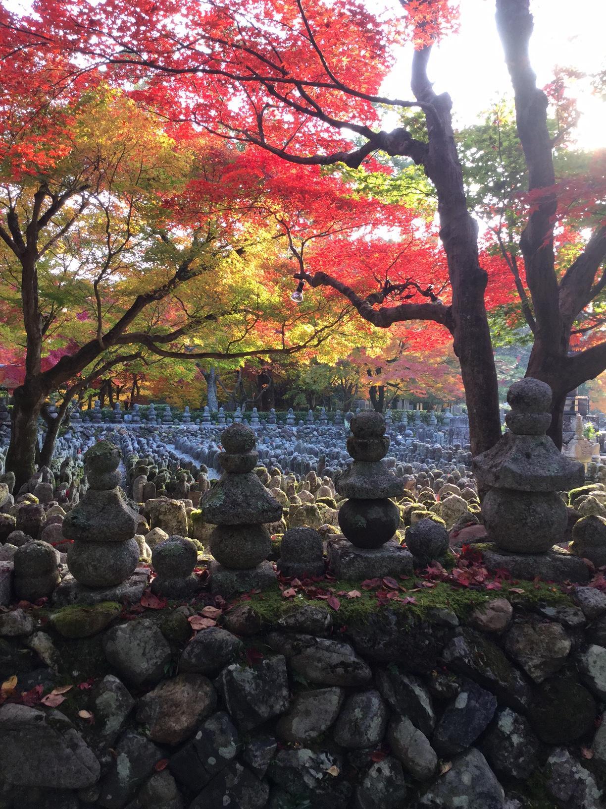 あだし野念仏寺（化野念仏寺） - 見どころ、アクセス & 周辺情報