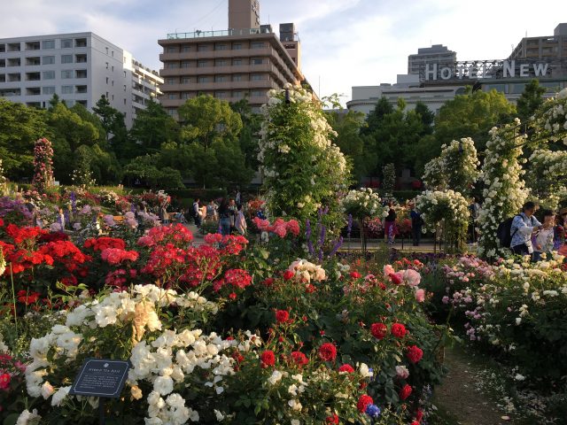 山下公園 景點指南 周邊景點 星評 交通資訊 好運日本行