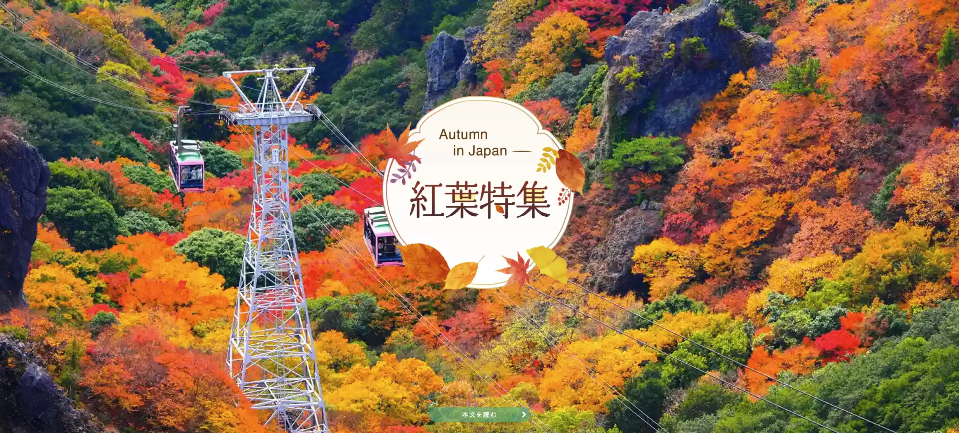 ユーザーニーズに応える様々な特集を展開