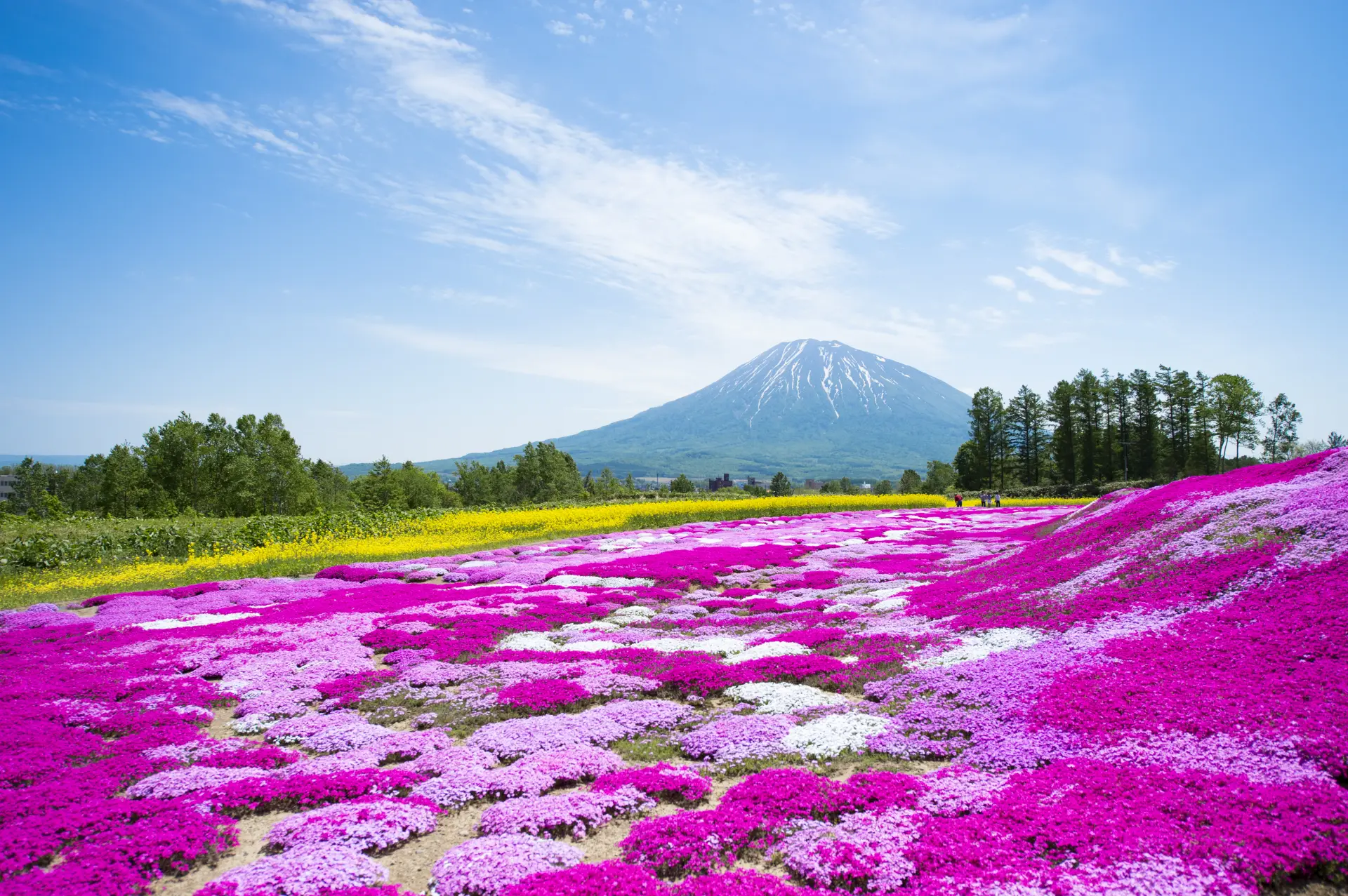 グリーンシーズンの魅力には大きなポテンシャルがある
