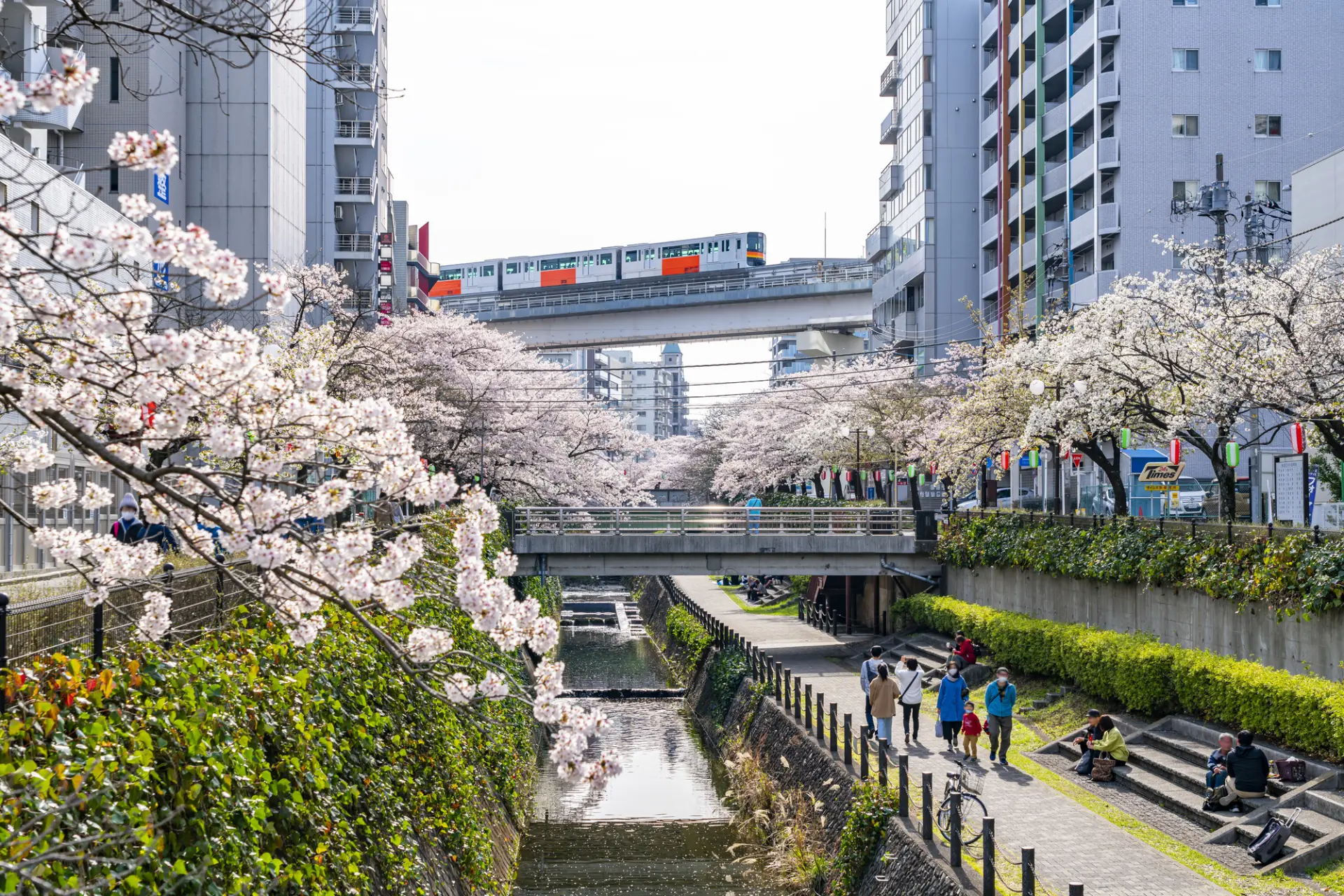 「日本人の日常を楽しむ」という切り口で紹介できないか検討してみよう